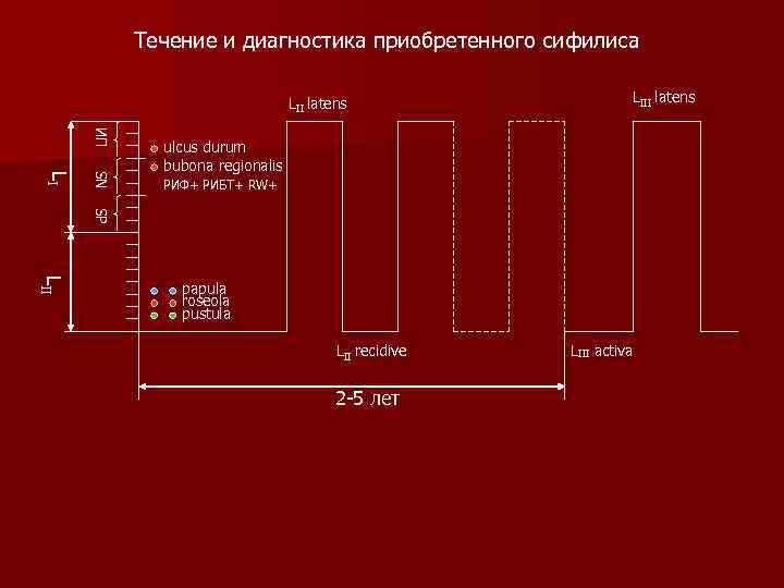 Течение и диагностика приобретенного сифилиса LII latens LIII latens ИП SN LI ulcus durum