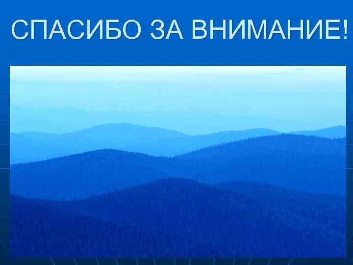 СПАСИБО ЗА ВНИМАНИЕ! 