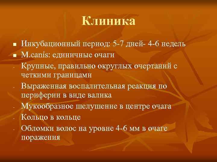 Клиника n n - - - Инкубационный период: 5 -7 дней- 4 -6 недель