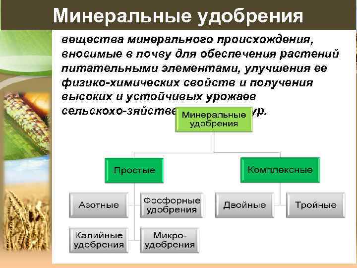 Основа растениеводства является. Биологические основы сельского хозяйства. Компоненты минерального происхождения. Питательные элементы для растений. Вещества в удобрениях.