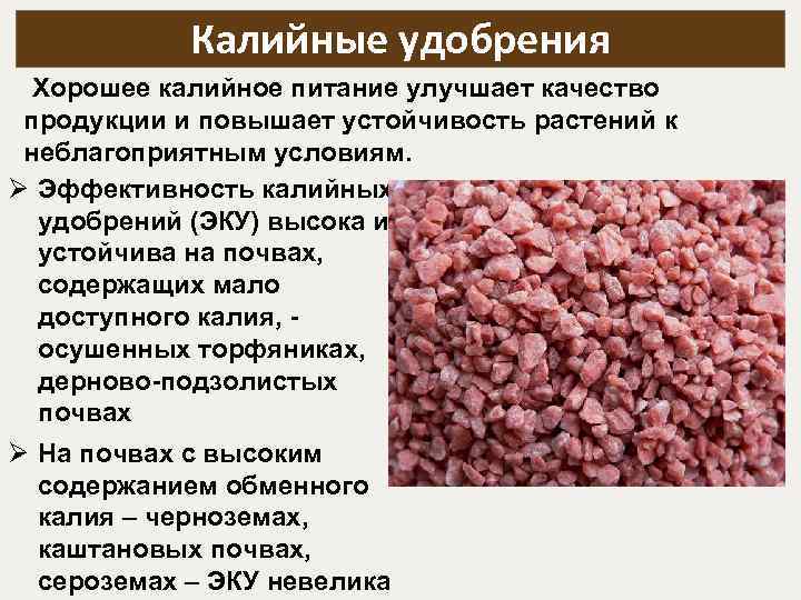 Виды калия. Калийные удобрения. Калийные Минеральные удобрения. Характеристика калийных удобрений. Цвет калийных удобрений.