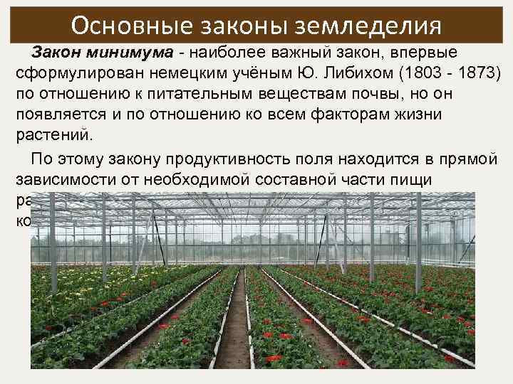 Основные законы земледелия Закон минимума - наиболее важный закон, впервые сформулирован немецким учёным Ю.