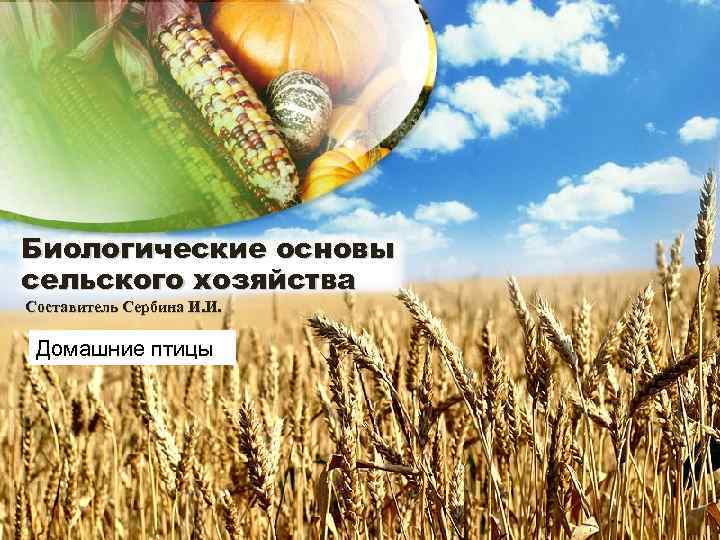 Биологические основы сельского хозяйства Составитель Сербина И. И. Домашние птицы 