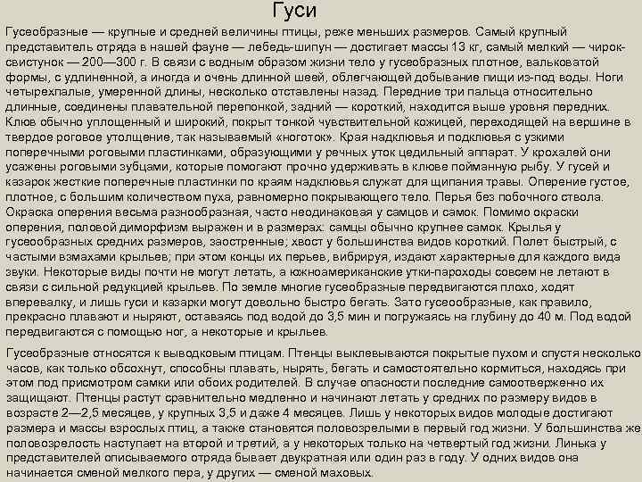 Гуси Гусеобразные — крупные и средней величины птицы, реже меньших размеров. Самый крупный представитель