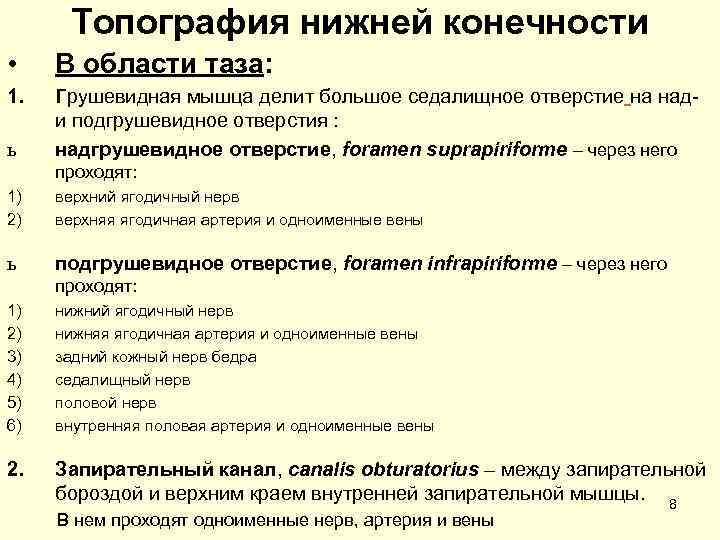 Топография нижней конечности • В области таза: 1. Грушевидная мышца делит большое седалищное отверстие