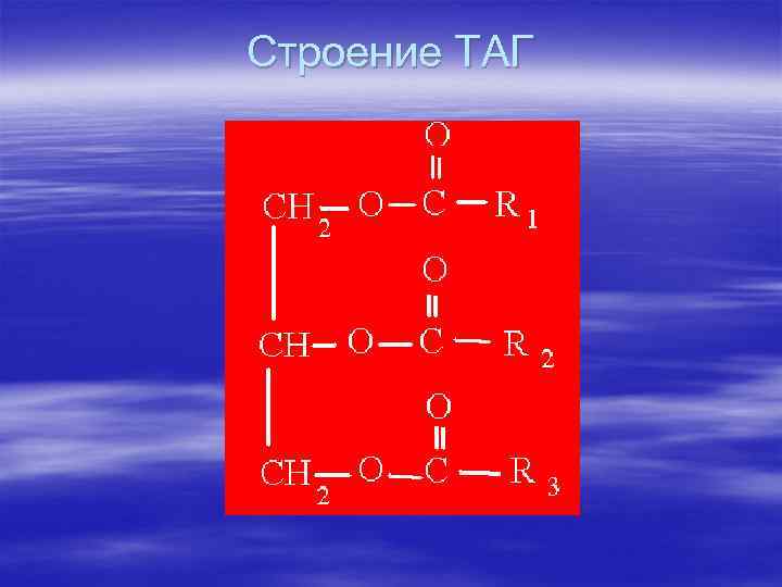 Строение ТАГ 