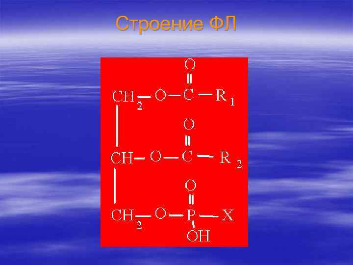 Строение ФЛ 