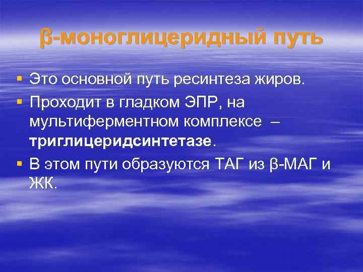 β-моноглицеридный путь § Это основной путь ресинтеза жиров. § Проходит в гладком ЭПР, на