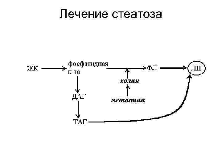 Лечение стеатоза 