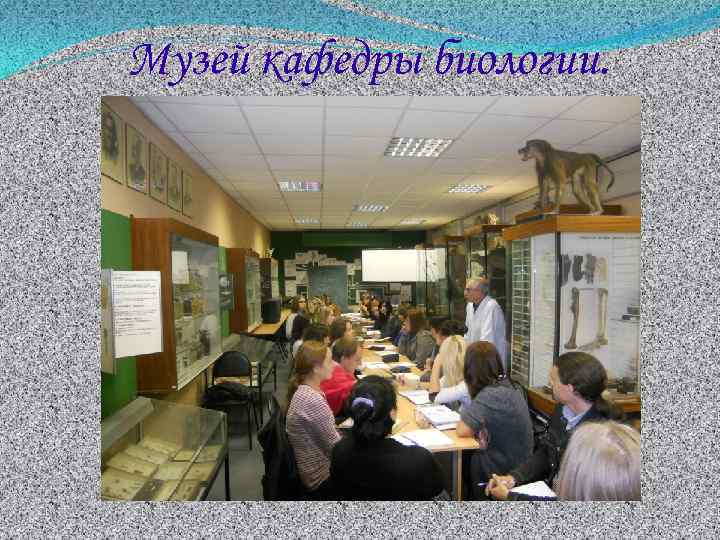 Музей кафедры биологии. 