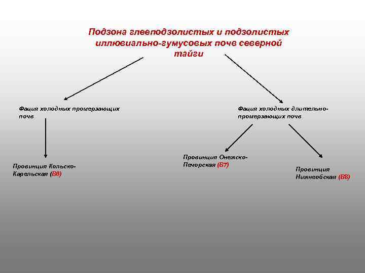 Подзона глееподзолистых иллювиально-гумусовых почв северной тайги Фация холодных промерзающих почв Провинция Кольско. Карельская (В