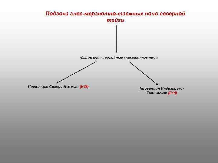 Подзона глее-мерзлотно-таежных почв северной тайги Фация очень холодных мерзлотных почв Провинция Северо-Ленская (Е 18)