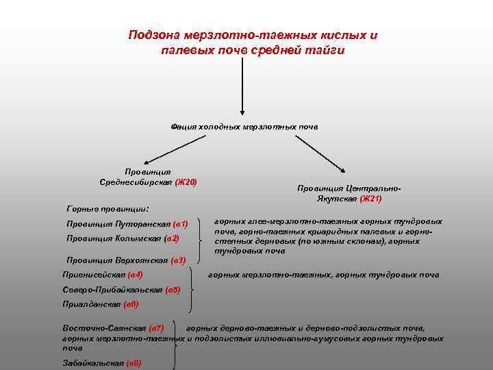 Подзона мерзлотно-таежных кислых и палевых почв средней тайги Фация холодных мерзлотных почв Провинция Среднесибирская