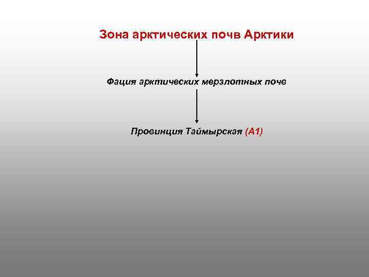 Зона арктических почв Арктики Фация арктических мерзлотных почв Провинция Таймырская (А 1) 