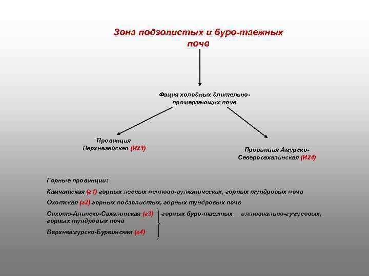 Зона подзолистых и буро-таежных почв Фация холодных длительнопромерзающих почв Провинция Верхнезейская (И 23) Провинция