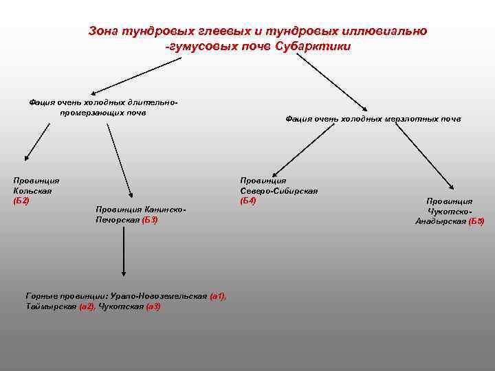 Зона тундровых глеевых и тундровых иллювиально -гумусовых почв Субарктики Фация очень холодных длительнопромерзающих почв