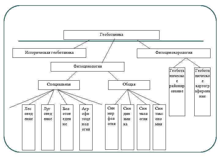Геоботаника Историческая геоботаника Фитоценохорология Фитоценология Специальная Лес овед ение Луг овед ение Бол отов