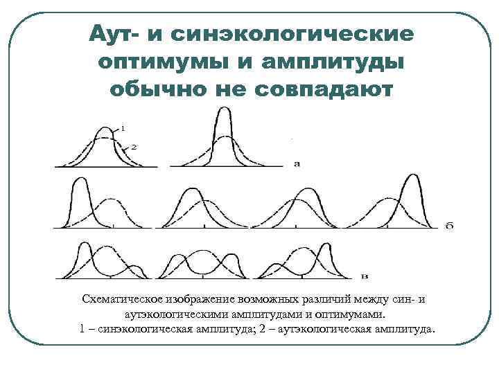 Аут- и синэкологические оптимумы и амплитуды обычно не совпадают Схематическое изображение возможных различий между