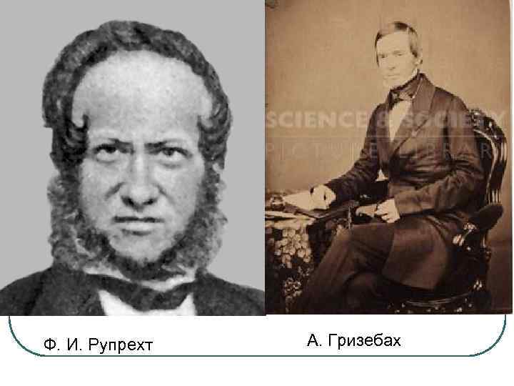 Ф. И. Рупрехт А. Гризебах 
