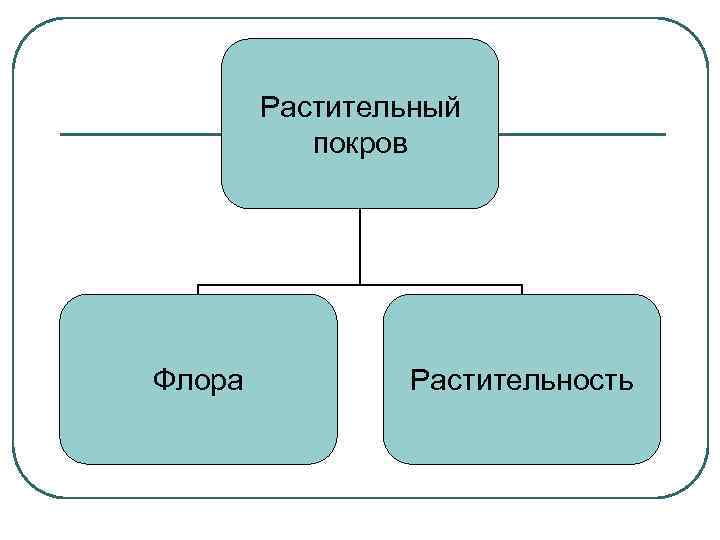 Растительный покров Флора Растительность 