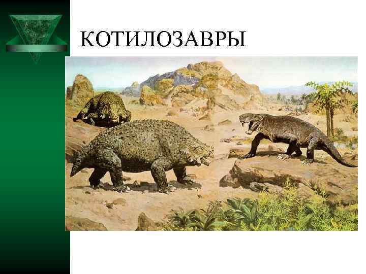 КОТИЛОЗАВРЫ 