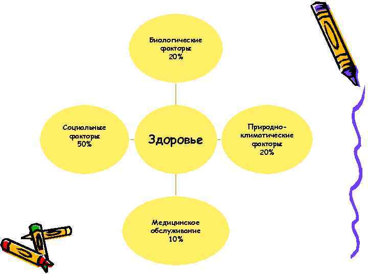 Биологические факторы 20% Социальные факторы 50% Здоровье Медицинское обслуживание 10% Природноклиматические факторы 20% 