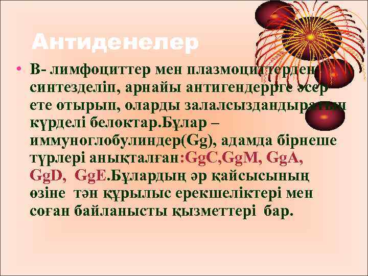 Антиденелер • В- лимфоциттер мен плазмоциттерден синтезделіп, арнайы антигендеррге әсер ете отырып, оларды залалсыздандыратын