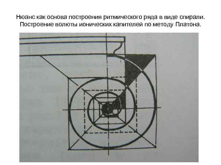 Нюанс как основа построения ритмического ряда в виде спирали. Построение волюты ионических капителей по