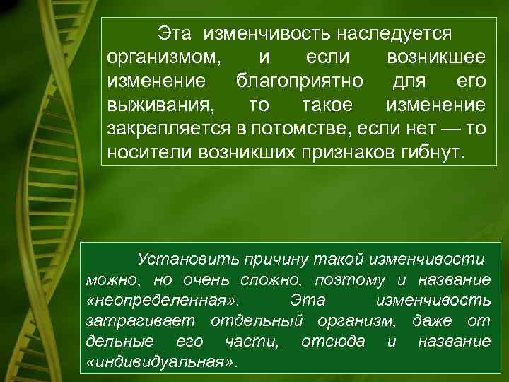 Эта изменчивость наследуется организмом, и если возникшее изменение благоприятно для его выживания, то такое