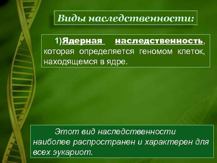 Отношение ген признак внеядерная наследственность презентация 10 класс