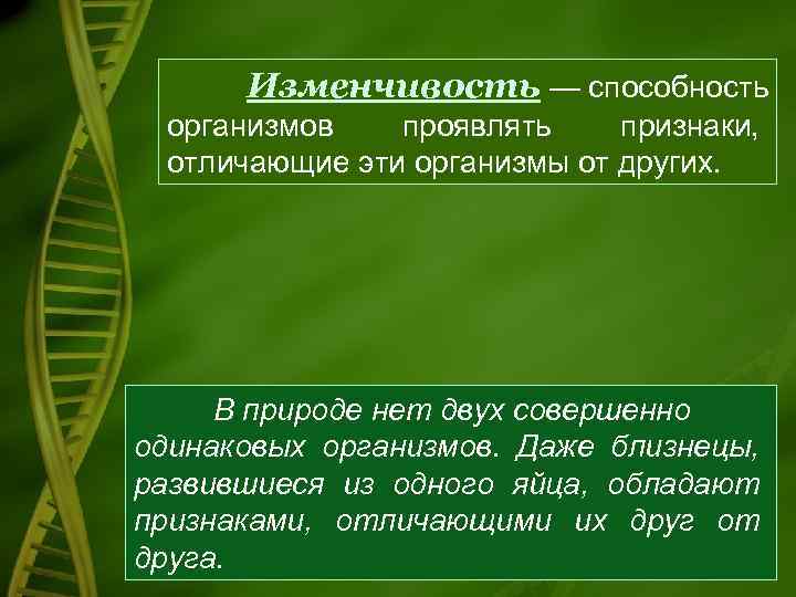 Изменчивость — способность организмов проявлять признаки, отличающие эти организмы от других. В природе нет