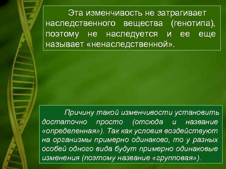 Эта изменчивость не затрагивает наследственного вещества (генотипа), поэтому не наследуется и ее еще называет