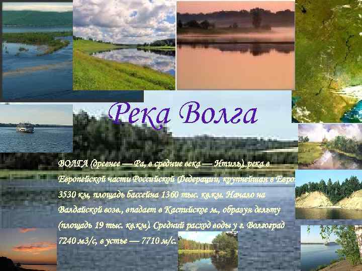 Река Волга ВОЛГА (древнее — Ра, в средние века — Итиль), река в Европейской