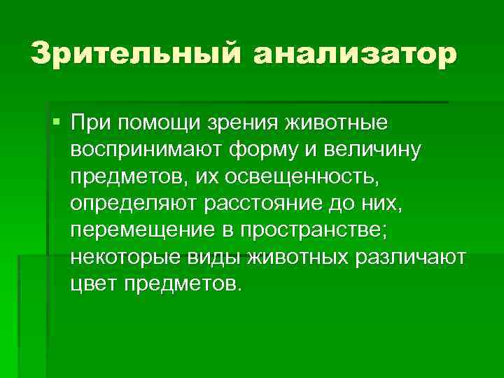 Зрительный анализатор § При помощи зрения животные воспринимают форму и величину предметов, их освещенность,