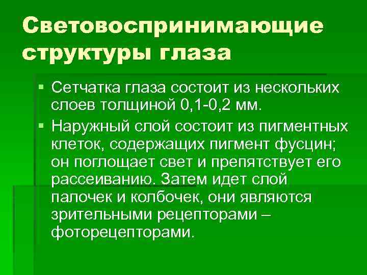 Световоспринимающие структуры глаза § Сетчатка глаза состоит из нескольких слоев толщиной 0, 1 -0,