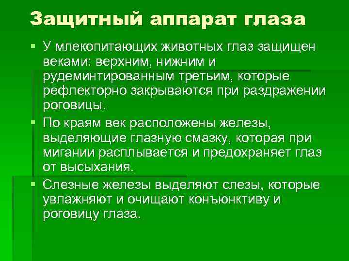 Защитный аппарат глаза § У млекопитающих животных глаз защищен веками: верхним, нижним и рудеминтированным