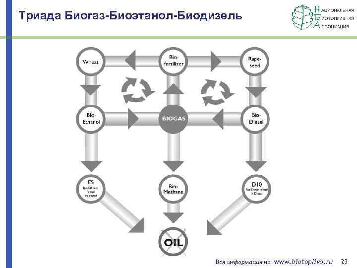 Триада Биогаз-Биоэтанол-Биодизель Вся информация на www. biotoplivo. ru 23 