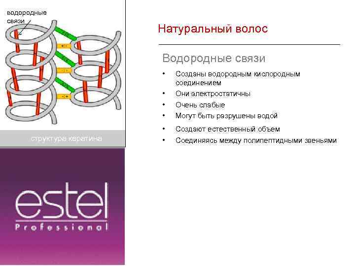 водородные связи Натуральный волос Водородные связи • • структура кератина Creative Movement 1 Client
