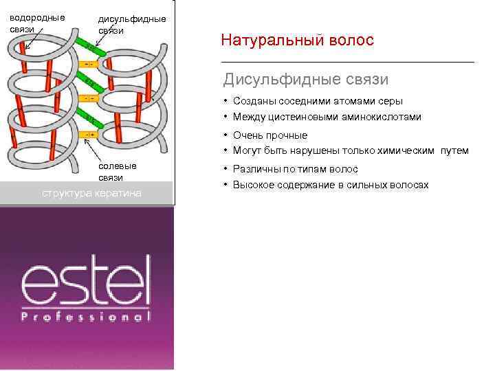 водородные связи дисульфидные связи Натуральный волос Дисульфидные связи • Созданы соседними атомами серы •