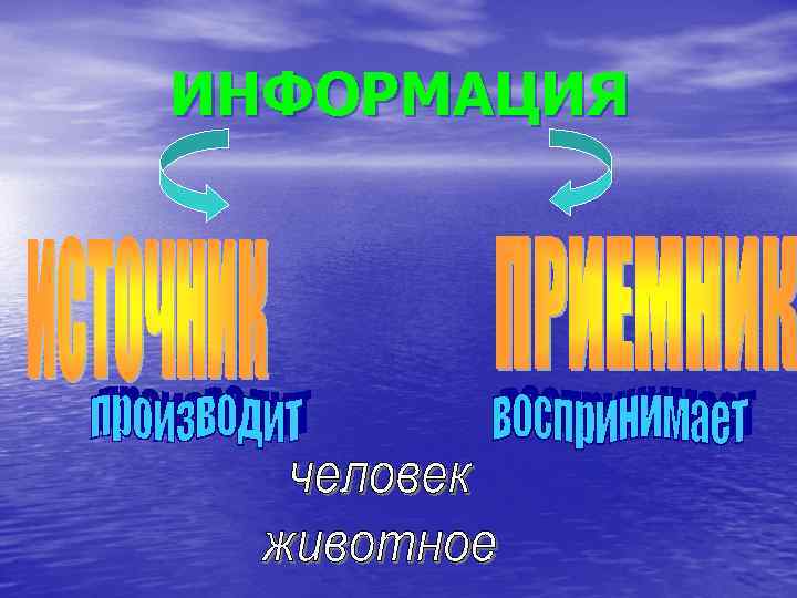 ИНФОРМАЦИЯ 