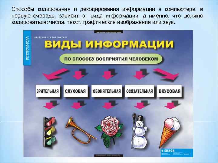 Способы кодирования и декодирования информации в компьютере, в первую очередь, зависит от вида информации,