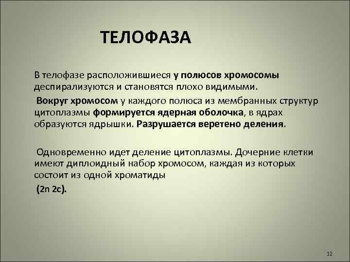 ТЕЛОФАЗА В телофазе расположившиеся у полюсов хромосомы деспирализуются и становятся плохо видимыми. Вокруг хромосом