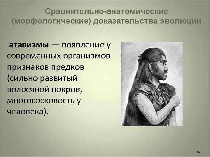 Появление признаков предков. Сравнительно-анатомические доказательства эволюции атавизмы. Сраывнительноанатомические доказательства атавизмы. Сравнительно-анатомические доказательства эволюции вывод. Сравнительно анатомические признаки эволюции атавизмы.