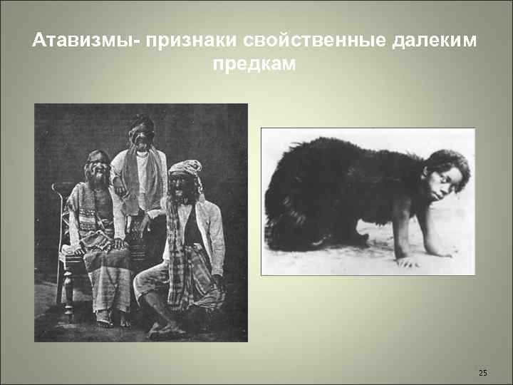 Атавизмы- признаки свойственные далеким предкам 25 25 