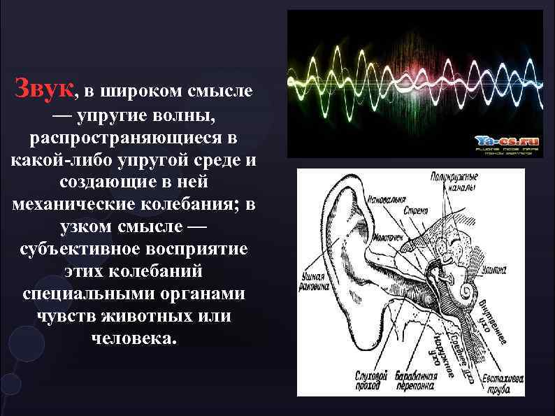 Звук появления. Упругие волны звук. Приборы для исследования звуковых колебаний в органах человека. Звуковые волны в широком и узком смысле. Звуковые волны субъективные восприятия этих.