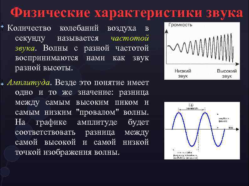 Частота и высота звука. Характеристики звуковой волны. Физические характеристики звука. Колебания звука. Физические характеристики громкости.