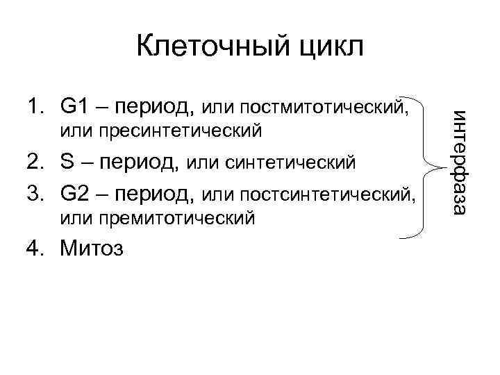 Клеточный цикл или пресинтетический 2. S – период, или синтетический 3. G 2 –