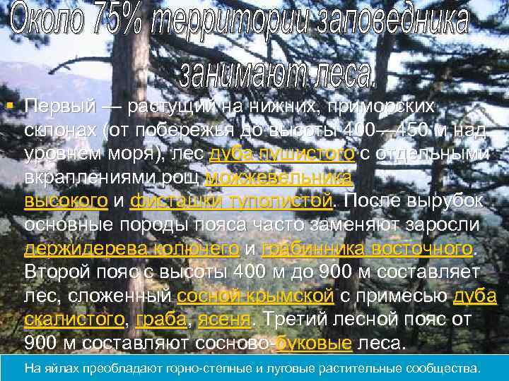 § Первый — растущий на нижних, приморских склонах (от побережья до высоты 400— 450