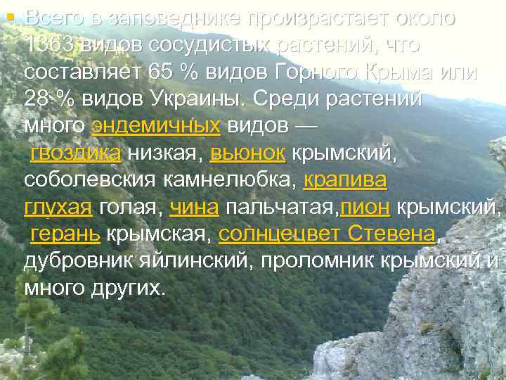 § Всего в заповеднике произрастает около 1363 видов сосудистых растений, что составляет 65 %
