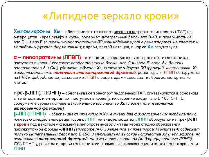  «Липидное зеркало крови» Хиломикроны Хм – обеспечивают транспорт экзогенных триацилглицеролов ( ТАГ) из